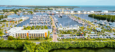  Aerial photo of Marina full of boats