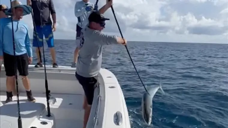 47MC-catch-760x428