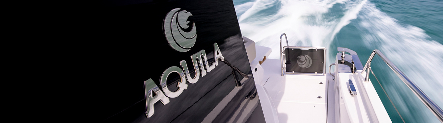 Aquila logo on model